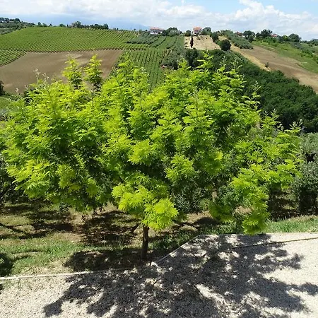 Sereno Escapes Torino di Sangro