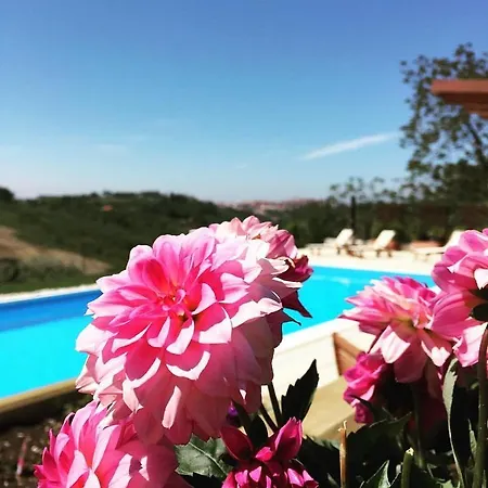 Bed & Breakfast Sereno Escapes *